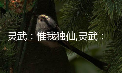 灵武：惟我独仙,灵武：惟我独仙