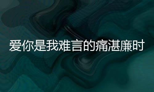 爱你是我难言的痛湛廉时林帘,爱你是我难言的痛湛廉时林帘