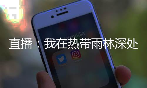 直播：我在热带雨林深处养蜂