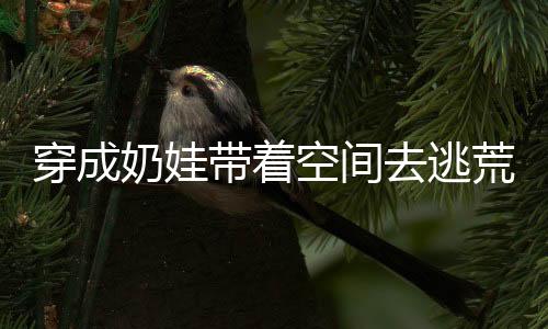 穿成奶娃带着空间去逃荒,穿成奶娃带着空间去逃荒