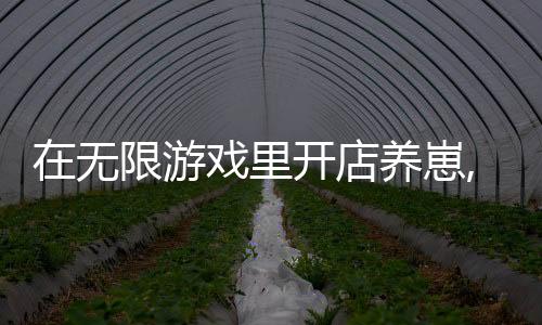 在无限游戏里开店养崽,在无限游戏里开店养崽