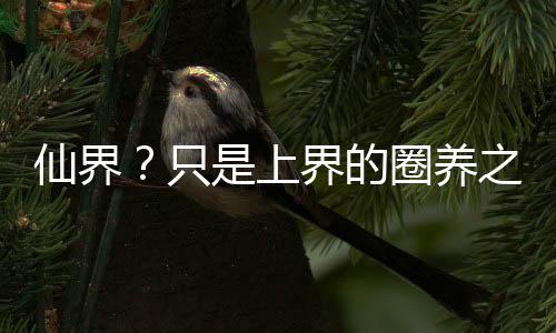 仙界？只是上界的圈养之地,仙界？只是上界的圈养之地