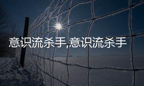 意识流杀手,意识流杀手