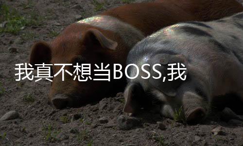 我真不想当BOSS,我真不想当BOSS