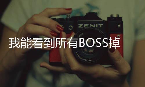 我能看到所有BOSS掉落,我能看到所有BOSS掉落