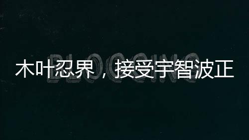 木叶忍界，接受宇智波正义的群殴吧,木叶忍界，接受宇智波正义的群殴吧