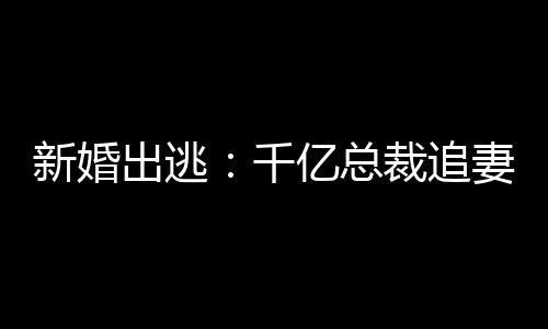 新婚出逃：千亿总裁追妻成狂,新婚出逃：千亿总裁追妻成狂