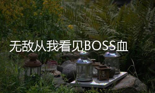 无敌从我看见BOSS血条开始,无敌从我看见BOSS血条开始