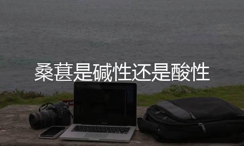 桑葚是碱性还是酸性