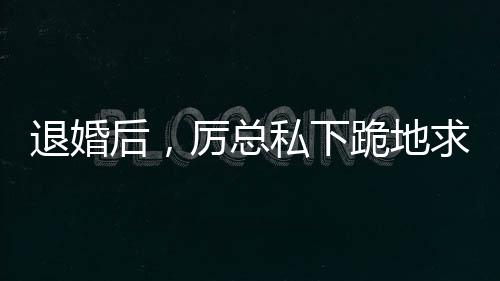 退婚后，厉总私下跪地求亲亲,退婚后，厉总私下跪地求亲亲