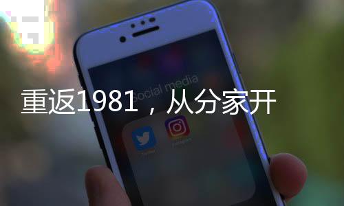 重返1981，从分家开始,重返1981，从分家开始