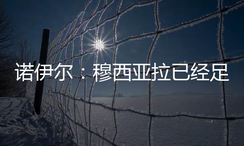 诺伊尔：穆西亚拉已经足够出色，他不需要回应哈曼的批评