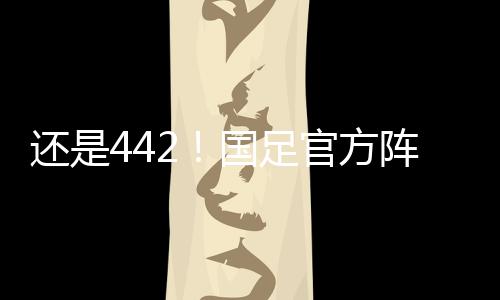 还是442！国足官方阵型图：武磊费南多突前 蒋圣龙后腰