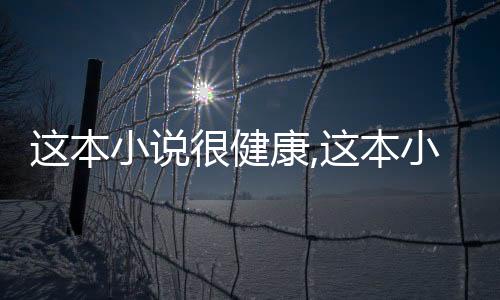 这本小说很健康,这本小说很健康