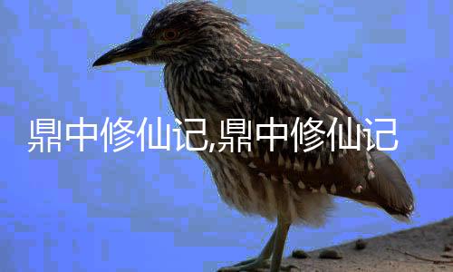 鼎中修仙记,鼎中修仙记